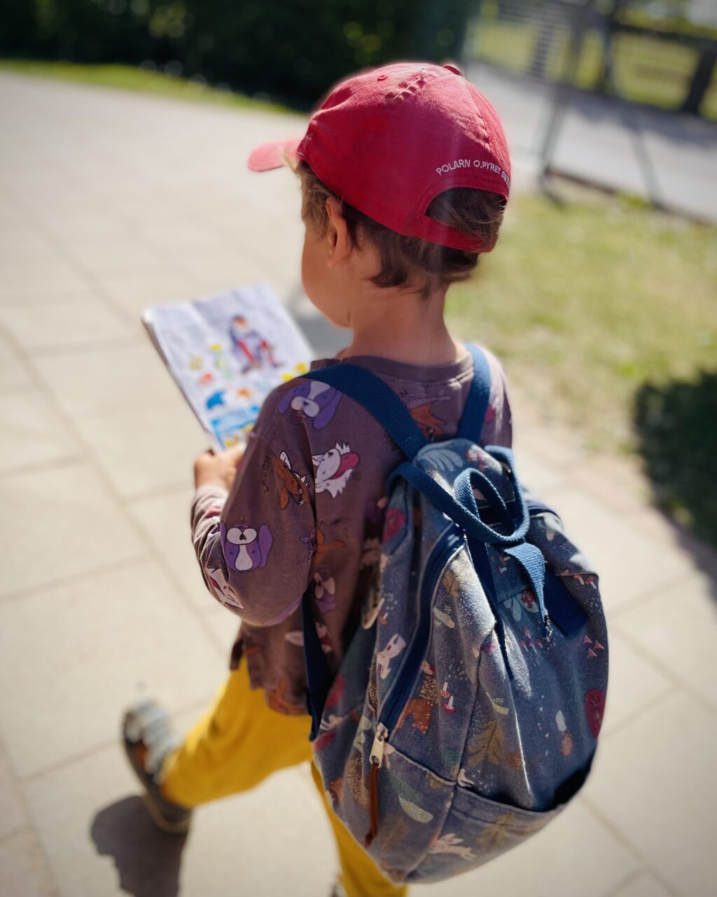 Preschooler with backpack and red baseball cap walking across a sunny yard.